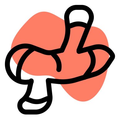 Raw ginger, an edible root.