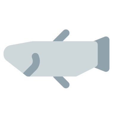 Raw fish kept for preparing meal