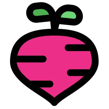 Turnip, edible root part of plant.