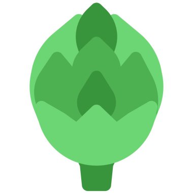 Artichoke, an edible leafy plant.