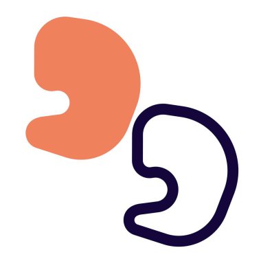 Shrimp meat kept for supper