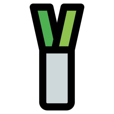 Raw leek used as ingredient for salad.