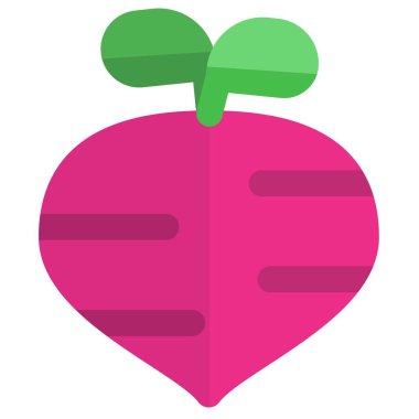 Turnip, edible root part of plant.