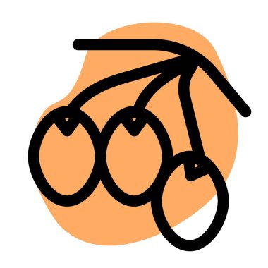 Closeup of delicious olives on a branch.