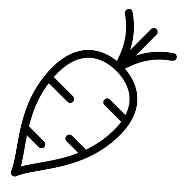 Seasonal winter vegetable, raw turnip.