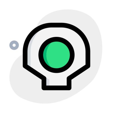 Delicious scallop served in dinner.