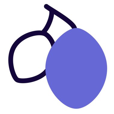 Pair of fresh java plum with stem.