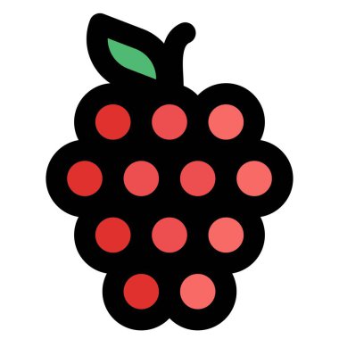 Raspberry, an edible rose plant fruit.