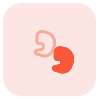 Shrimp meat kept for supper