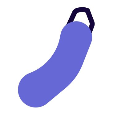 Raw zucchini used for salad preparation