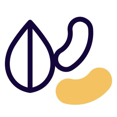 Edible mixed nuts for a healthy diet.