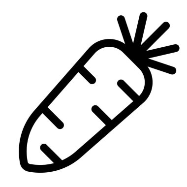 Raw radish often consumed in salad