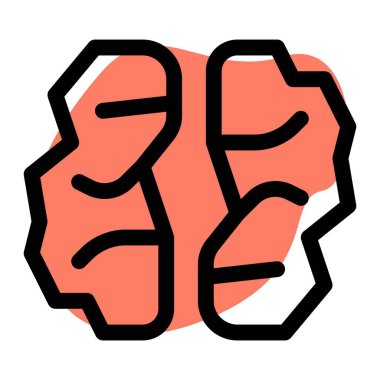 Dried walnut seeds eaten raw as snack