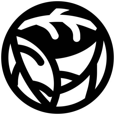 Cabbage, fresh green leafy vegetable.