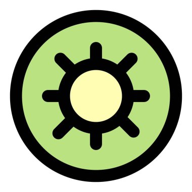 Kiwi fruit with sweet and unique flavour.