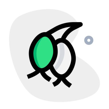 Rosehip, nutritious berries with medical properties.