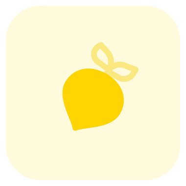 Raw beet loaded with many health nutrients.