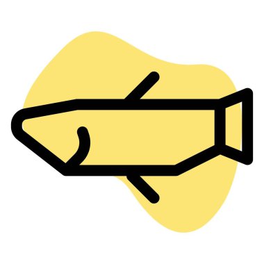 Raw fish kept for preparing meal