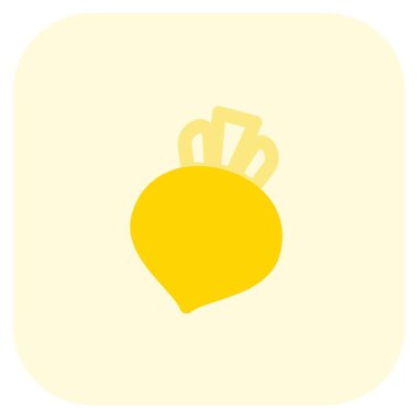 Raw beetroot with stem on it.