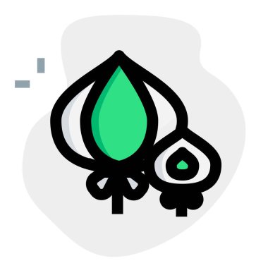 Onions used to flavour the meal.