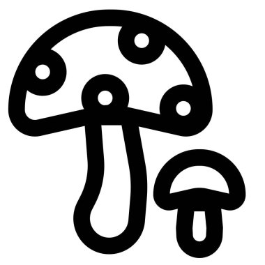 Mushrooms, an edible fungi meal.