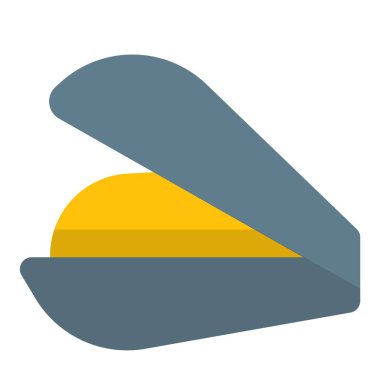 Closeup of fresh uncooked mussel.