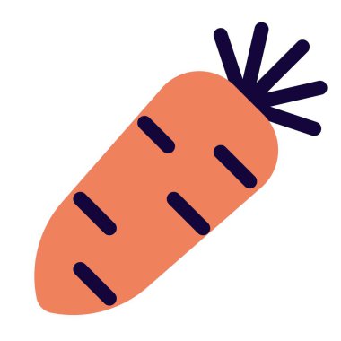 Raw radish often consumed in salad