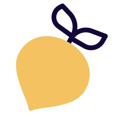 Raw beet loaded with many health nutrients.