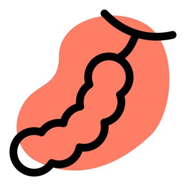 Tamarind, a tropical pod like fruit.