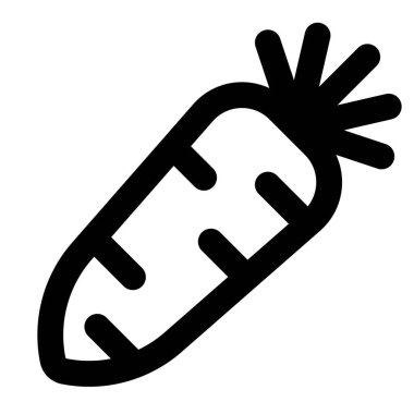 Raw radish often consumed in salad