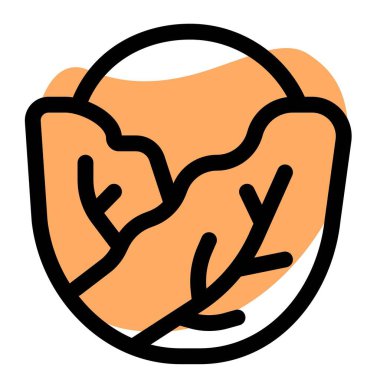 Cabbage is used to garnish cuisine.