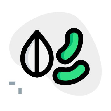 Edible mixed nuts for a healthy diet.