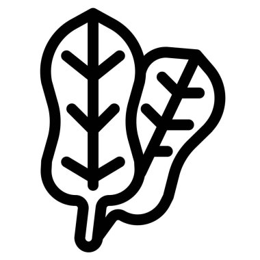 Bundle of green spinach leaves.