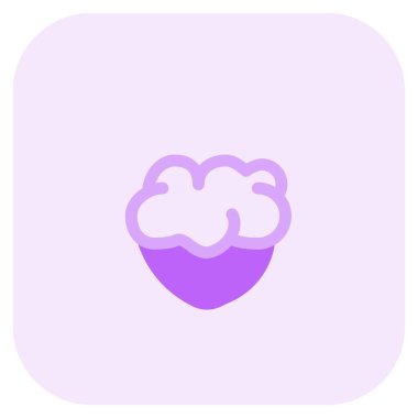 Nutritious raw cauliflower with leaves.