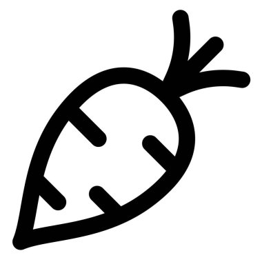 Seasonal winter vegetable, raw turnip.