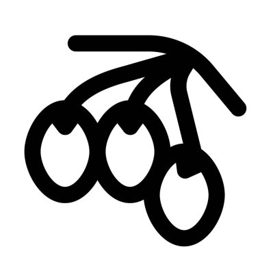 Closeup of delicious olives on a branch.