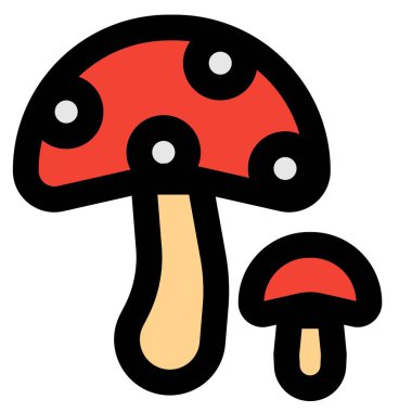 Mushrooms, an edible fungi meal.