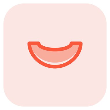 Slice of fresh juicy melon.