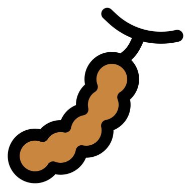 Tamarind, a tropical pod like fruit.