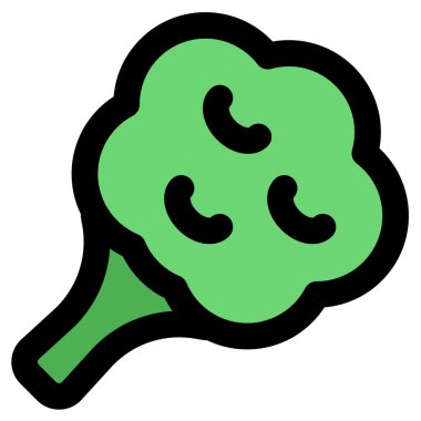 Broccoli, Raw veggie ready to served.