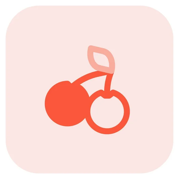 Cherries Juicy Fleshy Drupe Fruit — Stockvektor