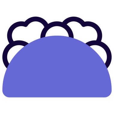 Taco style banh mi with crunchy texture.