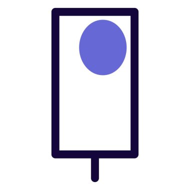 Ice pop served with delightful garnish