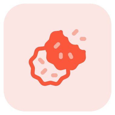 Delicious bitten choco chip cookies.