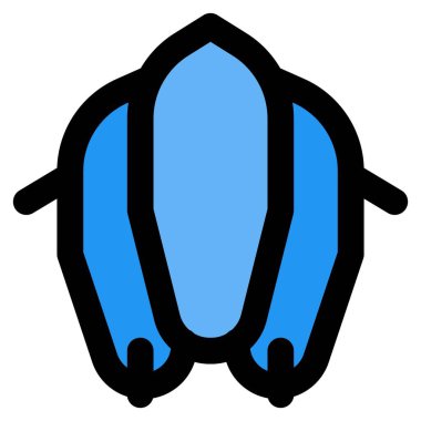 Avalon hava gemisi, çoğunlukla hava fotoğrafçılığında kullanılıyor..