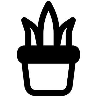 Dekorasyon için odanın köşesine yerleştirilmiş bir tesis.