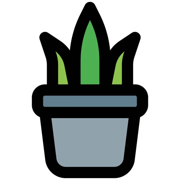 Krytá Rostlina Umístěná Roh Místnosti Pro Výzdobu — Stockový vektor