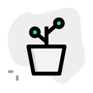 Çamur, kapalı bir tesiste.