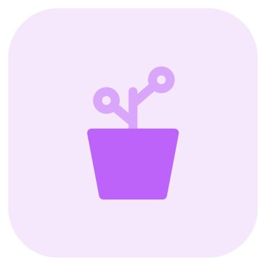 Çamur, kapalı bir tesiste.