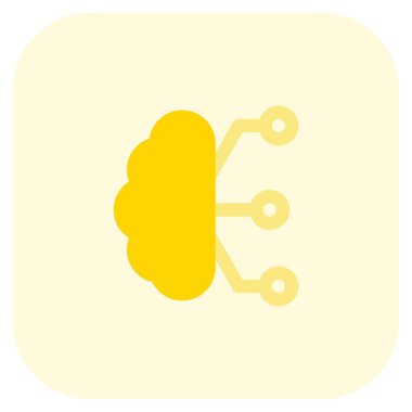 Yüksek gelişmiş dijital beyin fonksiyonları